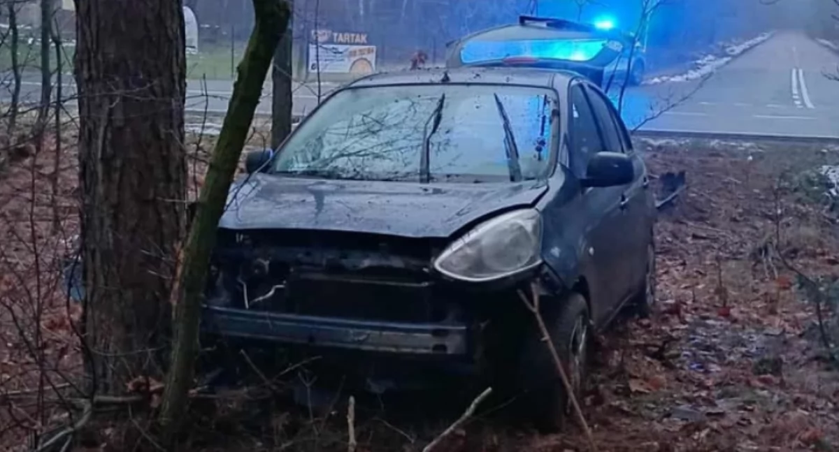 Poranny wypadek. Nissan uderzył w drzewo [zdjęcia]