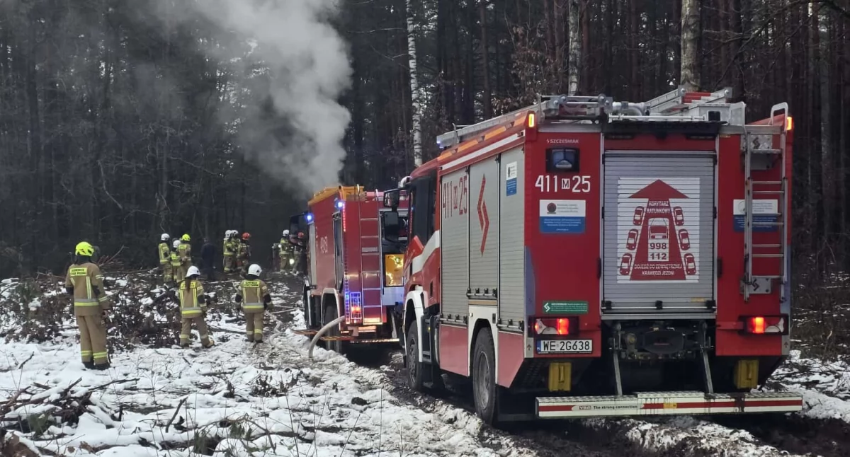 Nietypowy pożar w lesie w pobliżu Ciechanowa. Bardzo wysokie straty [zdjęcia]