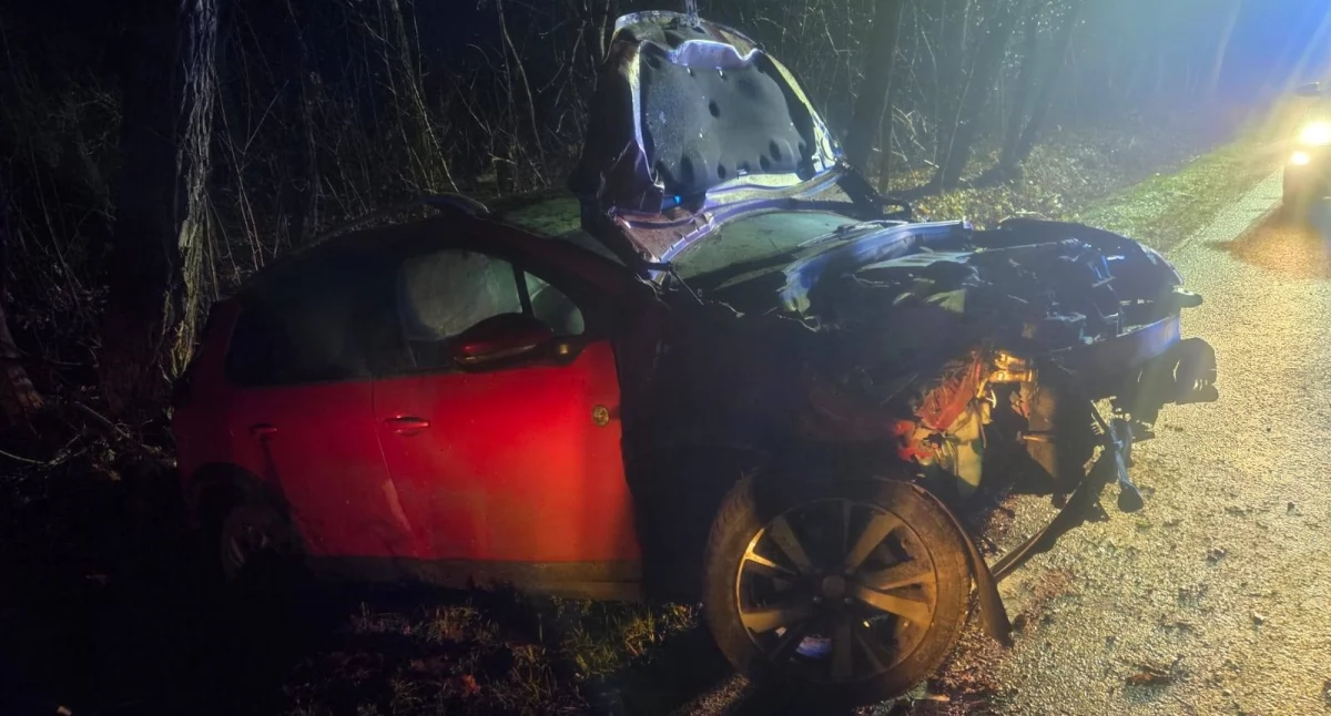 Chciał uniknąć zderzenia z sarną, wpadł do rowu i rozbił auto [zdjęcia]