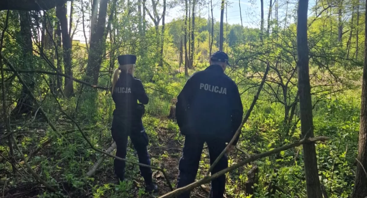 17-latek z zarzutem zabójstwa ze szczególnym okrucieństwem