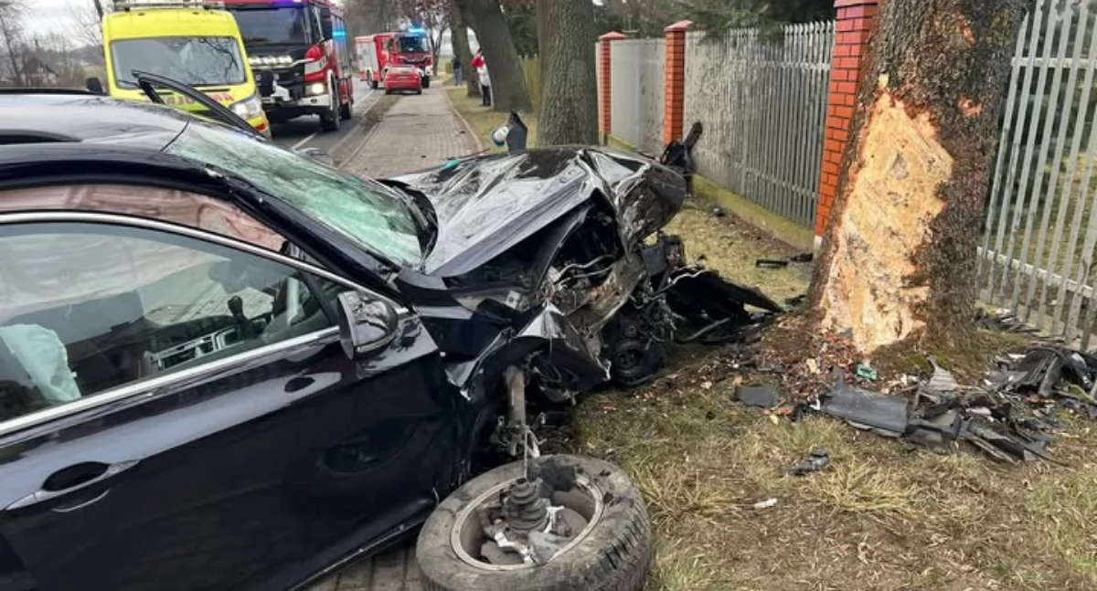 Wypadek koło Ciechanowa. VW uderzył w drzewo [zdjęcia]