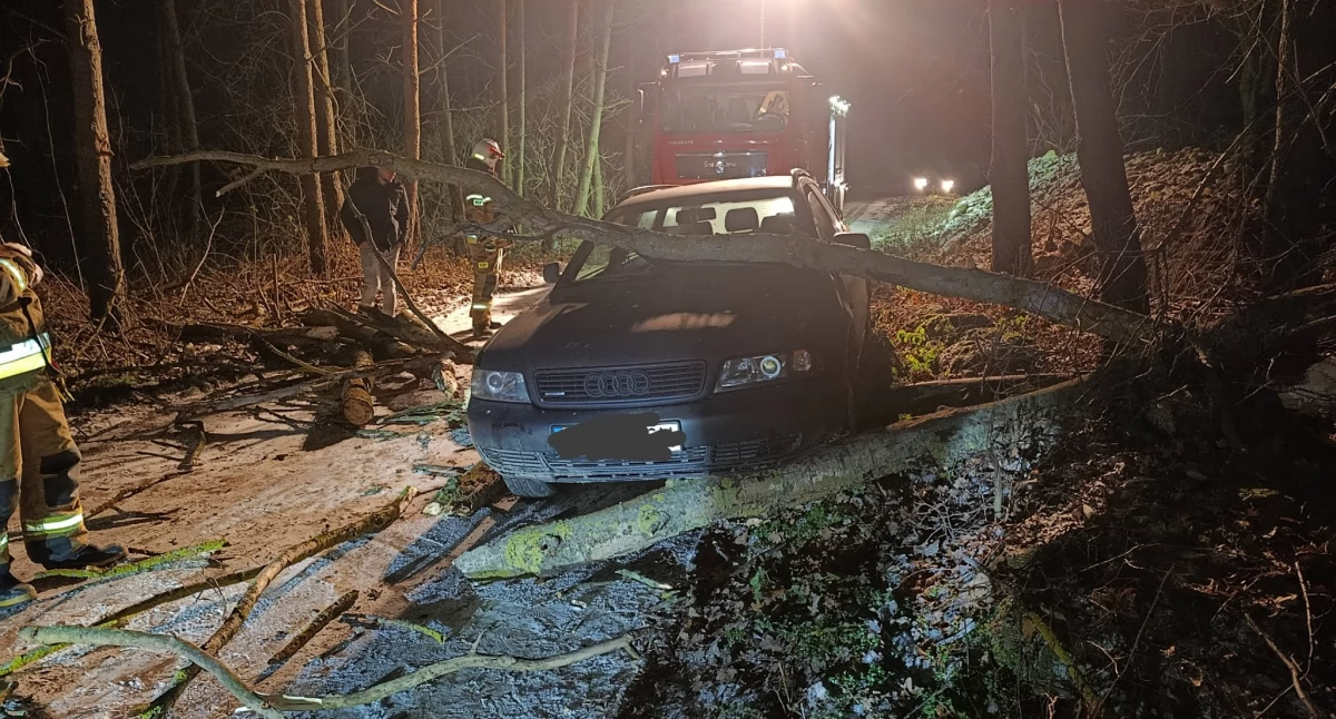 Silniej powiało w powiecie ciechanowskim: konar spadł na jadący samochód [zdjęcia]