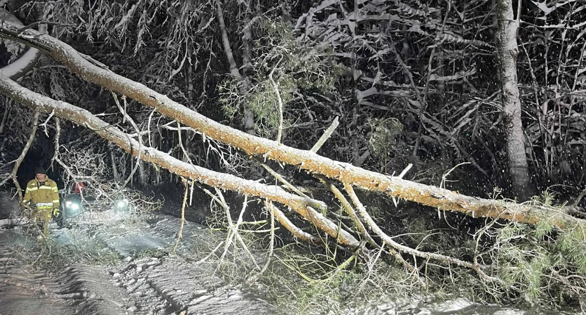 Strażacy w powiecie ciechanowskim ruszyli z pomocą [zdjęcia]