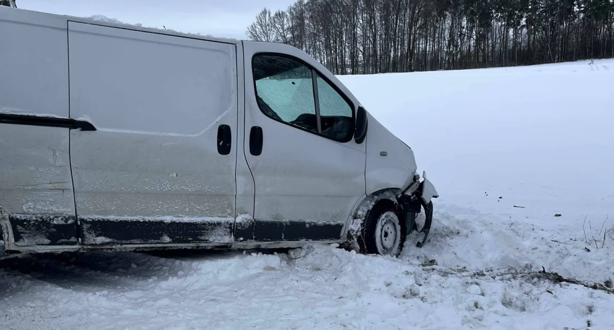 Auto uderzyło w drzewo. Dwie osoby zabrano do szpitala [zdjęcia]