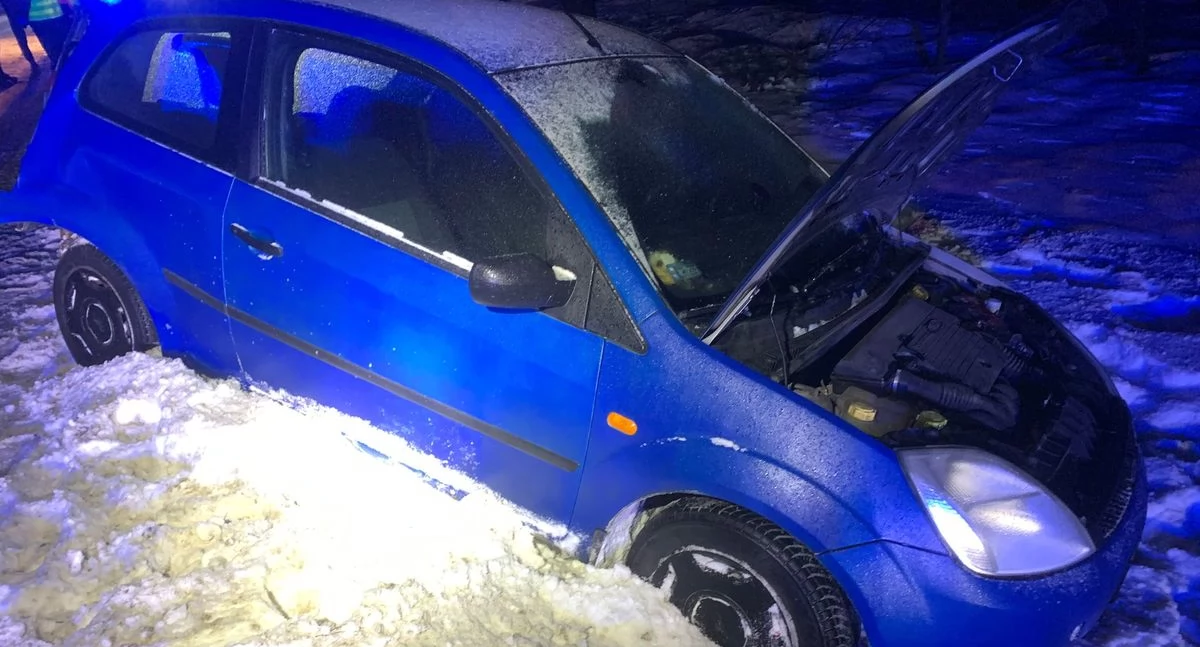 Auto obróciło się i uderzyło w drzewo. Dwóch pasażerów poszkodowanych [zdjęcia]
