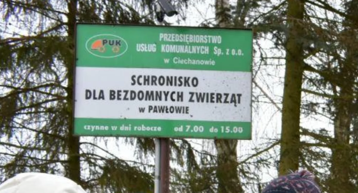 Wolontariusze spotkali się z prezydentem Ciechanowa ws. schroniska w Pawłowie. Wydali oświadczenie