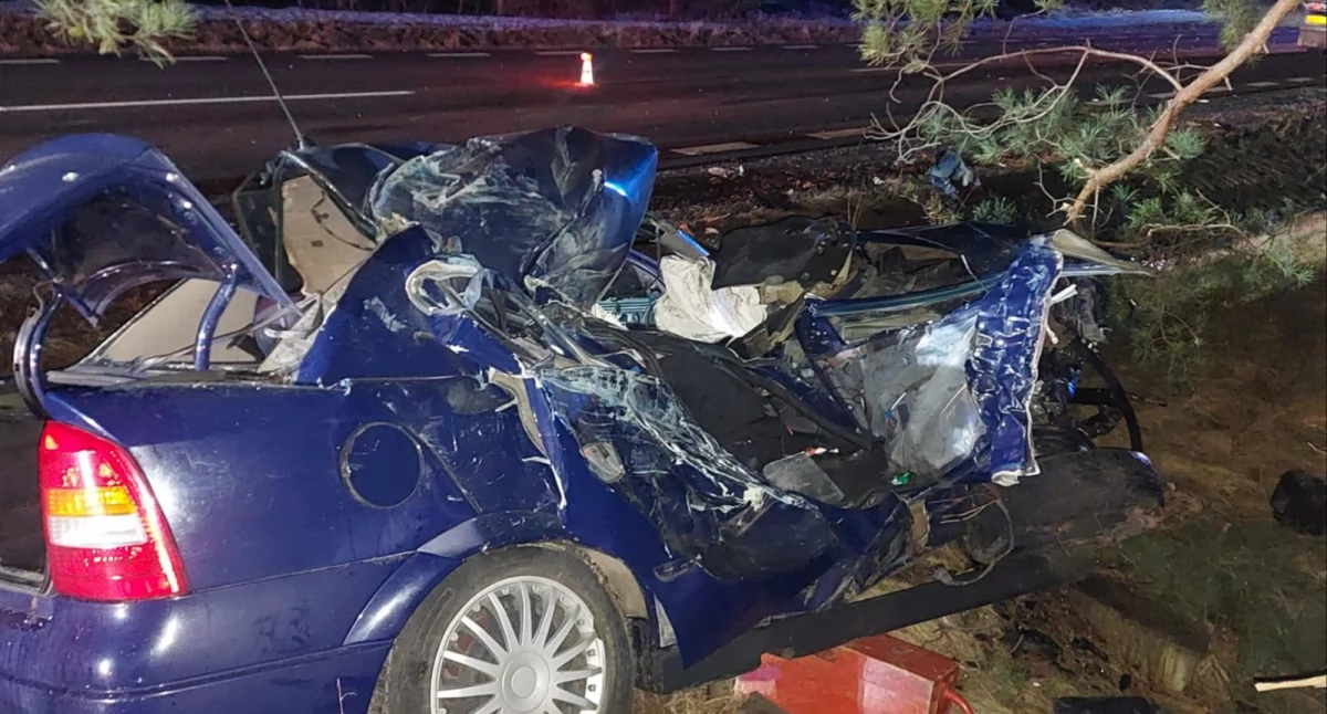 Wypadek na drodze krajowej. Ranna kobieta [zdjęcia]