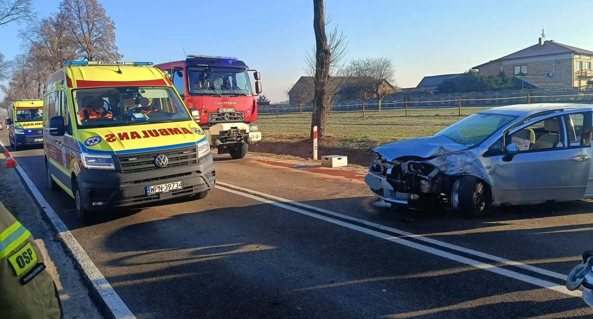 Dwie osoby ranne w wypadku. Auto uderzyło w drzewo [zdjęcia]