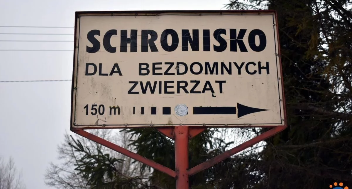 Jest nowa kierowniczka schroniska dla bezdomnych zwierząt w Pawłowie