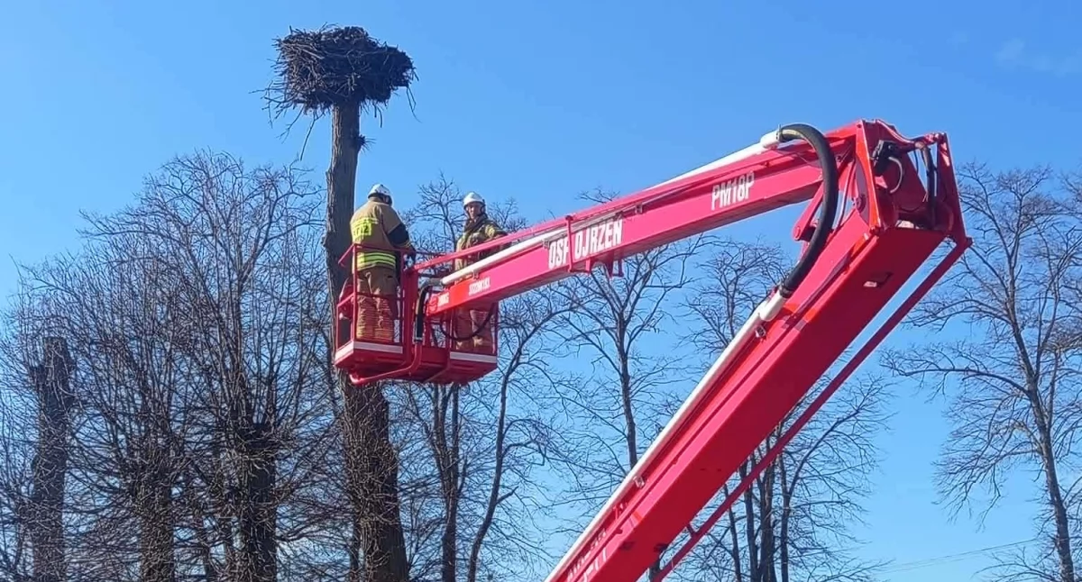 Nietypowa strażacka akcja w powiecie ciechanowskim. Bociany się ucieszą [zdjęcia]