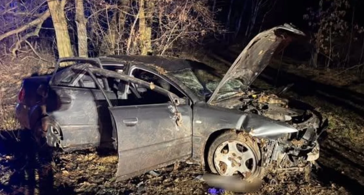 [AKTUALIZACJA] Trzy osoby ranne w wypadku w pobliżu Ciechanowa. Auto uderzyło w betonowy przepust [zdjęcia]