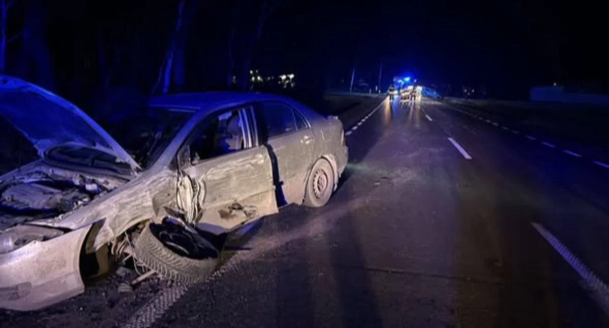 AKTUALIZACJA: Groźne zdarzenie na drodze Ciechanów-Płońsk [zdjęcia]