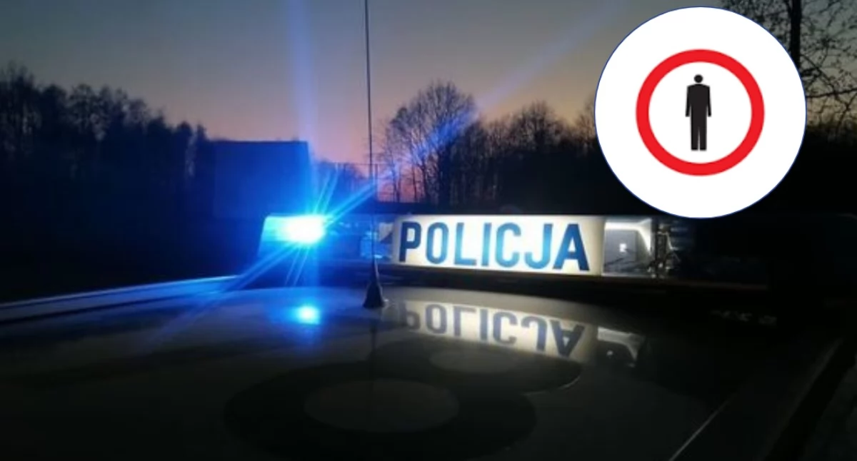 Mogło dojść do tragedii. Nocą spacerował pasem awaryjnym drogi ekspresowej w powiecie ciechanowskim