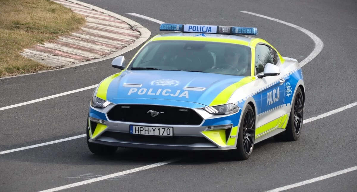 Zatrzymany pod Ciechanowem Mustang oficjalnie w służbie mazowieckiej policji [wideo/zdjęcia]