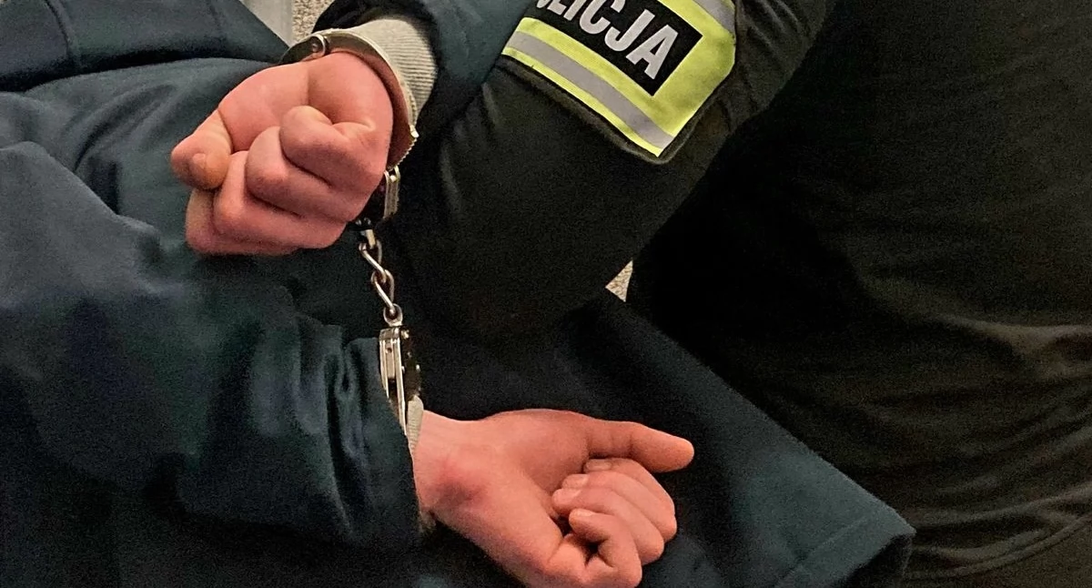 Zaatakowali na ulicy 16-latka. Odpowiedzą za napaść na tle narodowościowym