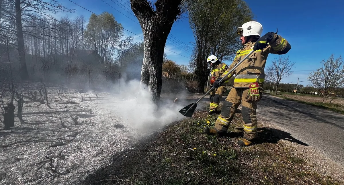 Groźny pożar na posesji pod Ciechanowem [zdjęcia]
