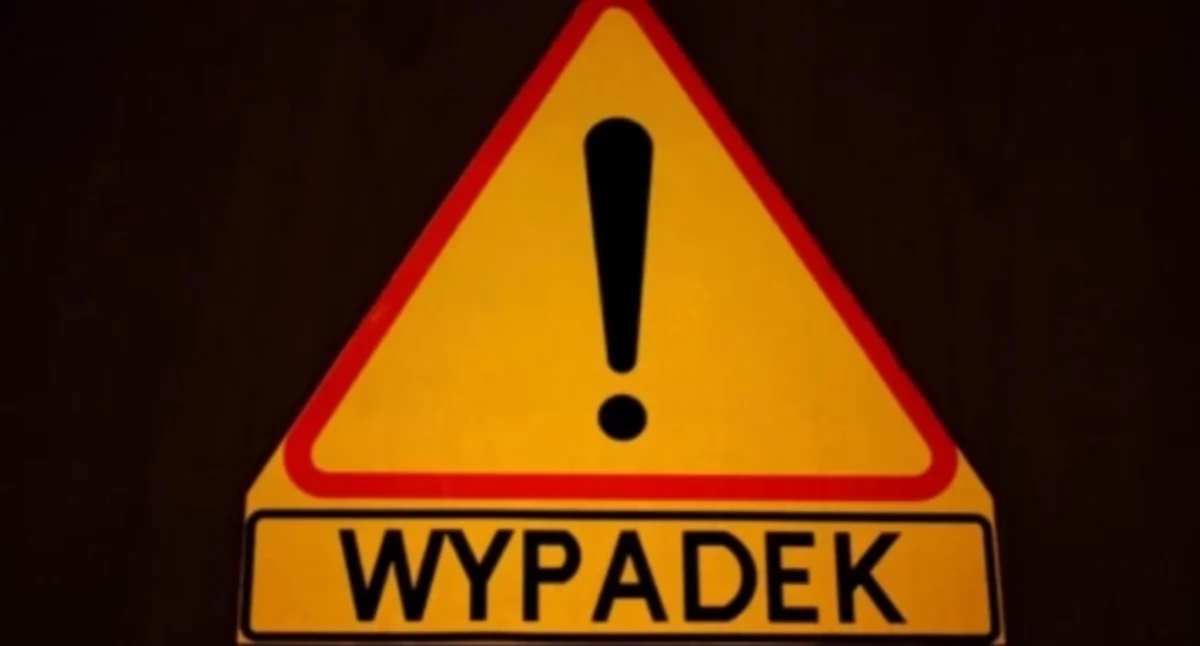 Niebezpieczne zdarzenie drogowe. Dwa rozbite auta i martwe zwierzę