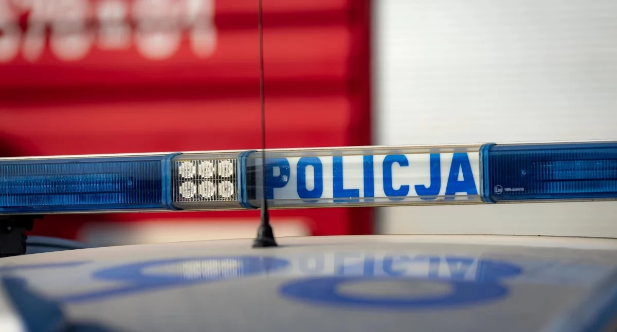 Drzewo runęło na jadący samochód. Niebezpieczne zdarzenie koło Ciechanowa