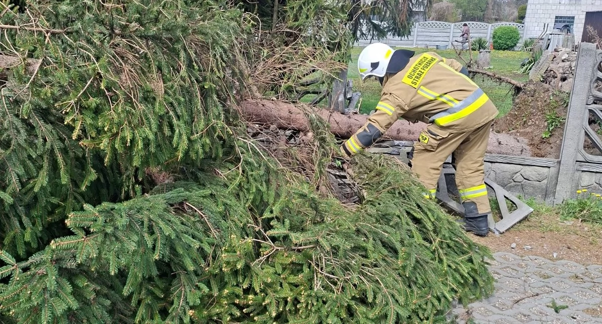 Uszkodzone dachy domów, połamane drzewa. Skutki silnego wiatru w powiecie ciechanowskim