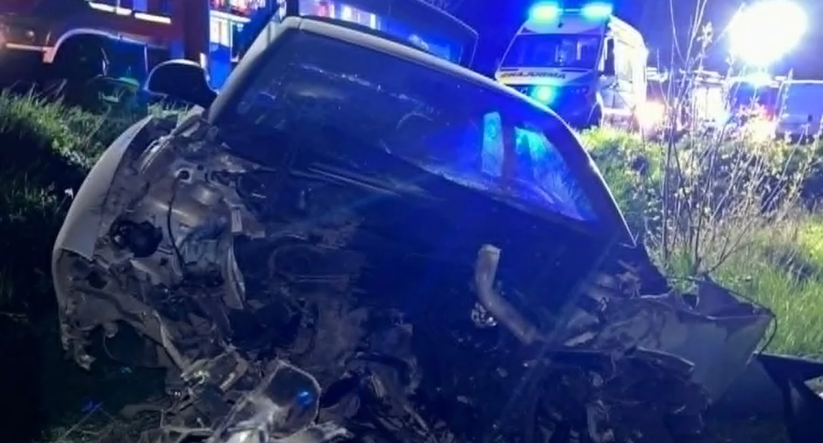 Tragiczny wypadek. Kierowca seata zginął na miejscu [zdjęcia]