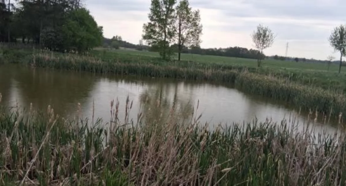 Fundusze na kolejny staw w gminie Sońsk [zdjęcia]