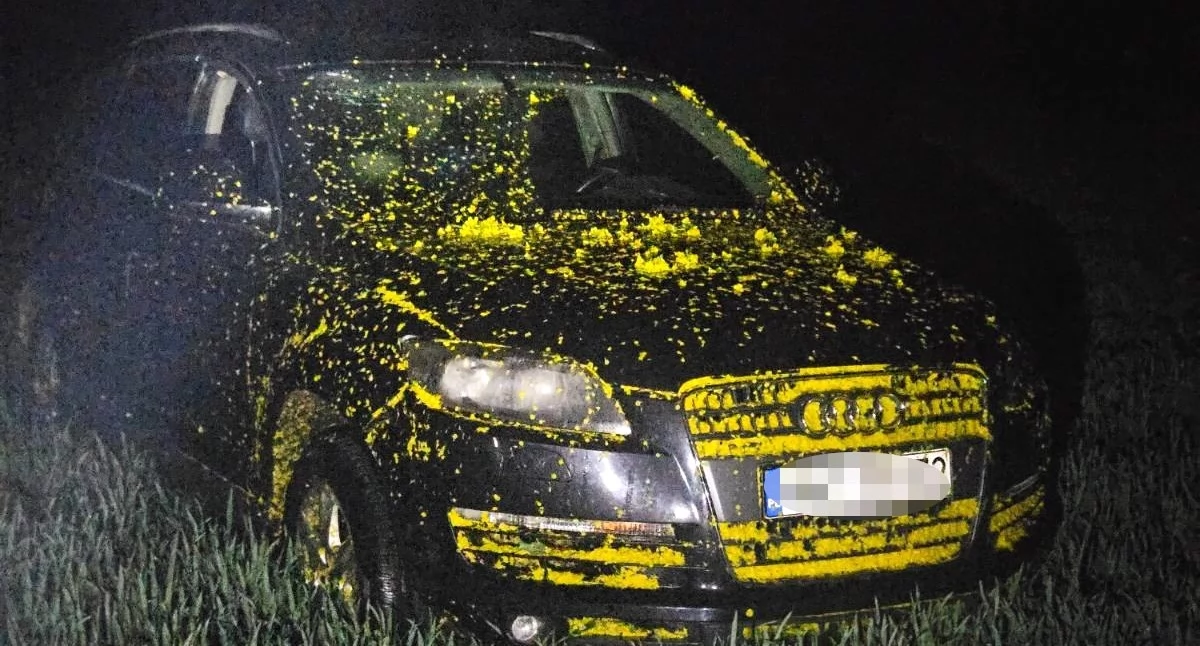 Próba kradzieży paliwa, porzucone auto w rzepaku koło Ciechanowa i fałszywe zgłoszenie. Zarzuty dla 40-latka i jego partnerki