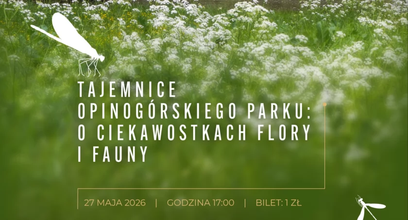 Akademia Seniora w Opinogórze