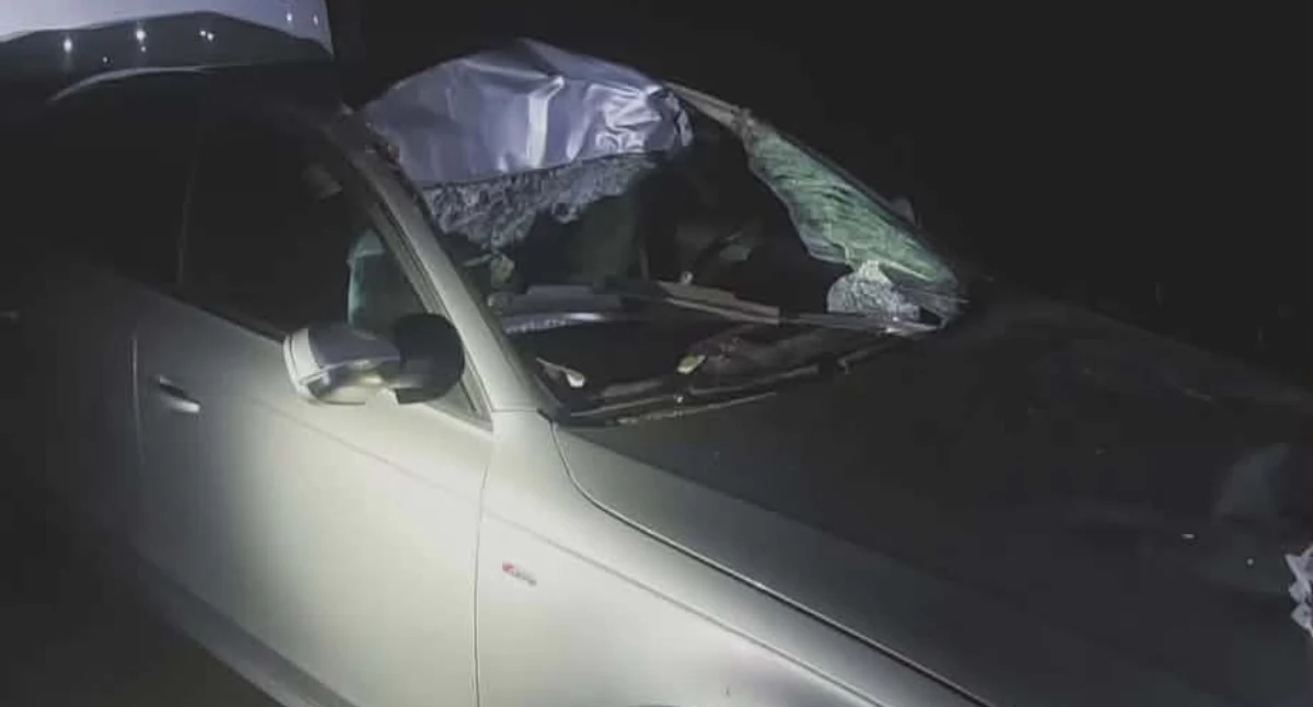 Audi uderzyło w łosia. Dwie osoby poszkodowane