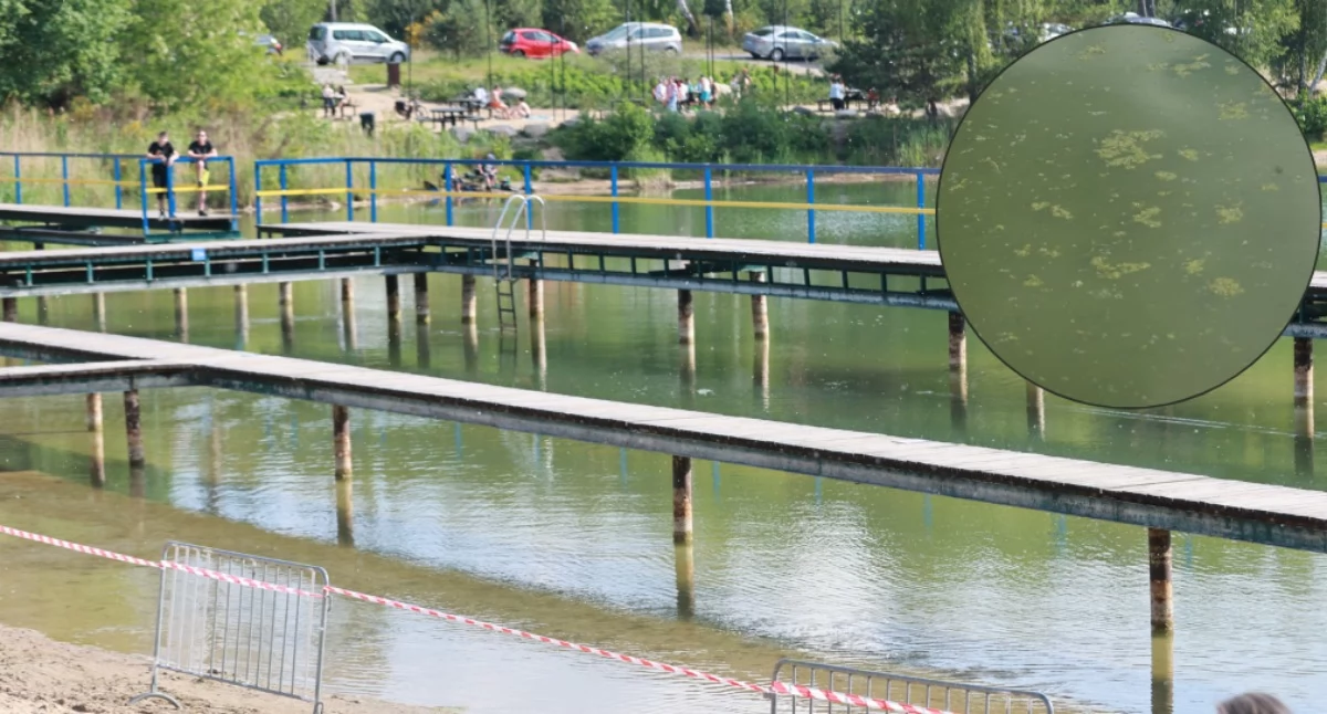 Próbują ratować krubińskie kąpielisko w Ciechanowie [zdjęcia]
