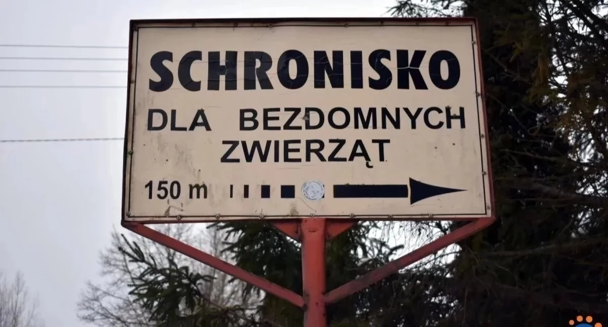 Wybrano nowego kierownika schroniska w Pawłowie koło Ciechanowa