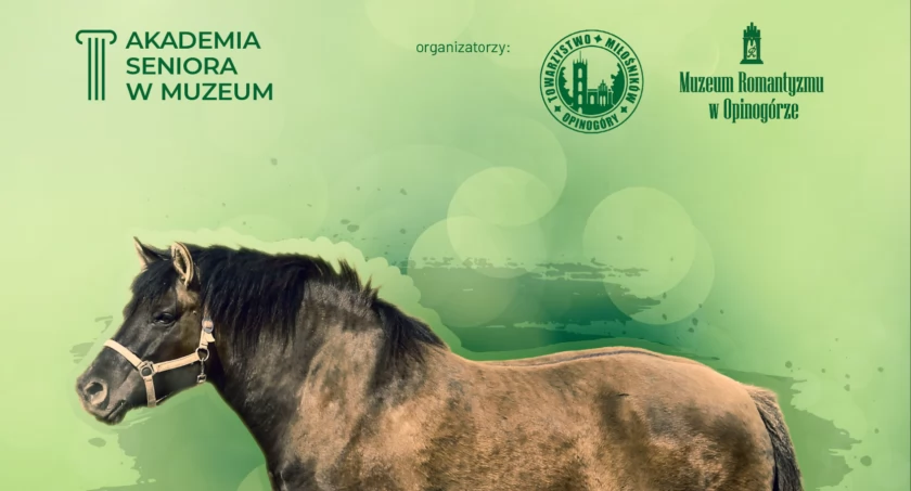 O hipoterapii w ramach Akademii Seniora w Opinogórze