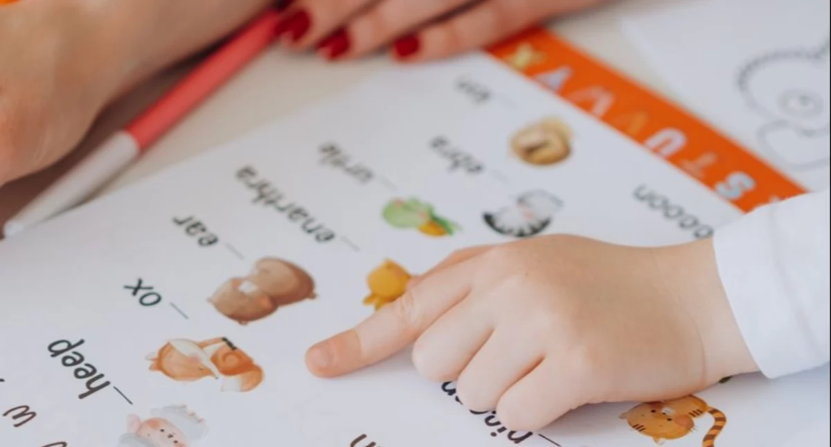 Pensum logopedy w 2026 roku – ile da się zarobić na etacie i prywatnie?