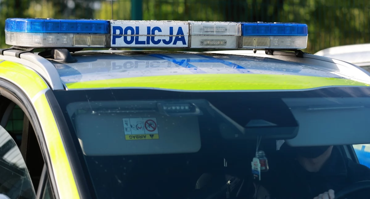 Microcarem w ogrodzenie koło Ciechanowa. Pijanego kierowcę zatrzymał świadek