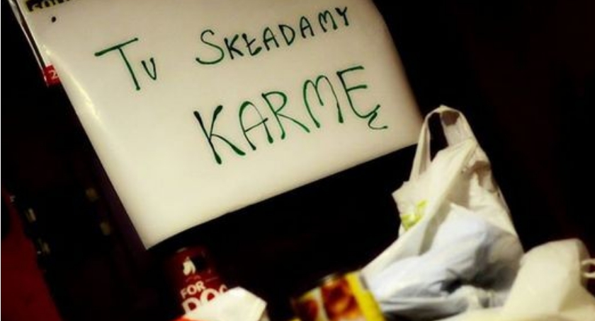 W Ciechanowie po raz trzeci będą zbierać karmę dla psów ze schroniska w Pawłowie (wideo)