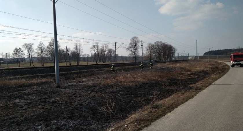 Pożar wzdłuż torów kolejowych pod Ciechanowem (zdjęcia)