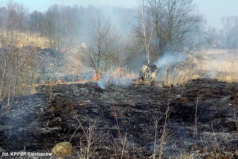 Zaczęło się - ciechanowianie wypalają trawy. Mogą za to zapłacić nawet 5 tys. zł