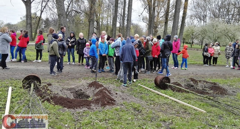 Uczniowie z Ciechanowa sadzili drzewa. Ogłoszono też akcję dla ojców (wideo)