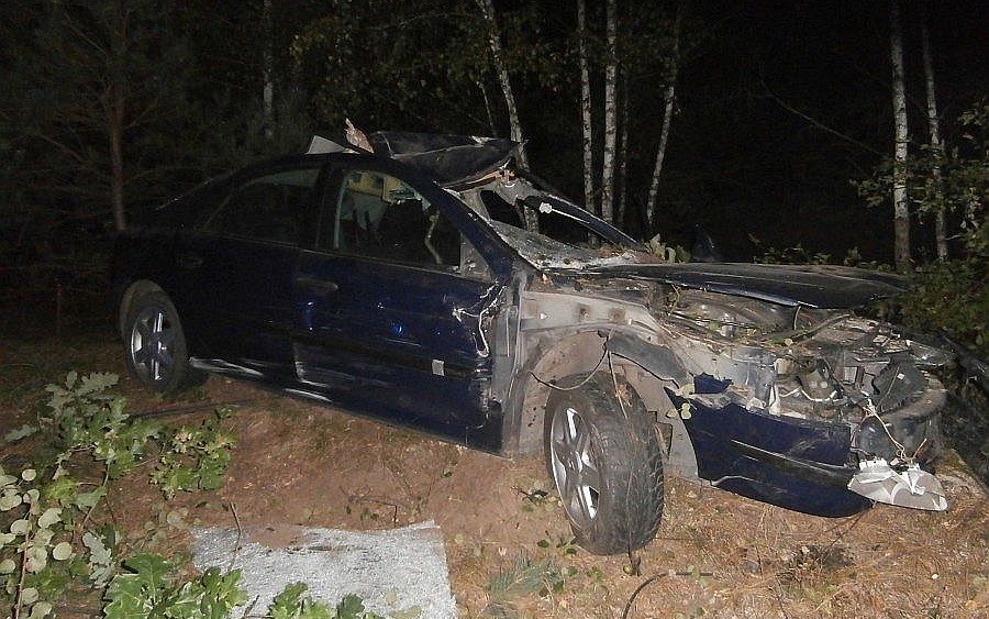 Kolejny wypadek u sąsiadów z udziałem łosia