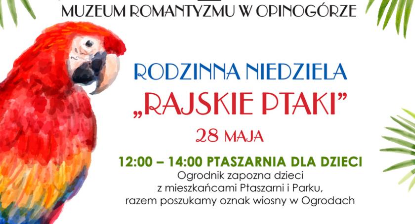 Rodzinna niedziela z rajskimi ptakami w Opinogórze