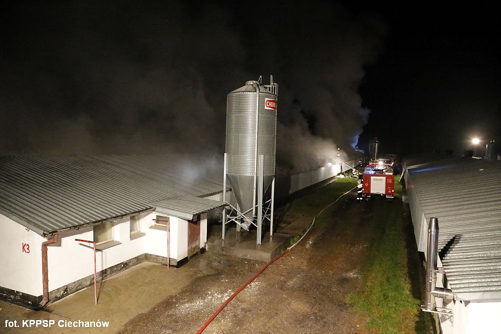 Pożar w Budach Rumockich. Strażacy walczyli z ogniem przez blisko 9 godzin (zdjęcia)