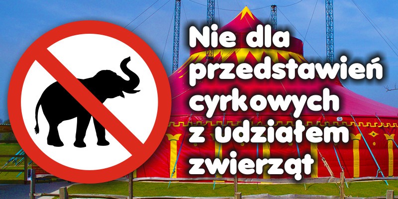 Prezydent mówi 