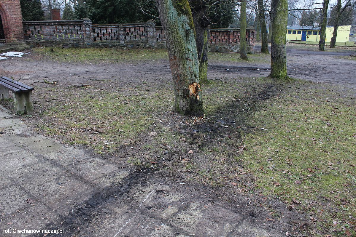 Ciechanów: Zasnął za kierownicą i uderzył w drzewo tuż obok kościoła