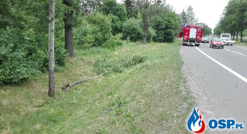 Silny wiatr w powiecie: powalone drzewo, uszkodzona elewacja szkoły
