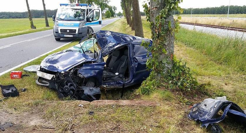Groźny wypadek u sąsiadów. Nastolatek uderzył Oplem w drzewo (zdjęcia)