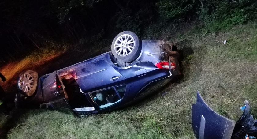 Zwierzę wybiegło przed maskę Renault. Auto dachowało (zdjęcia)