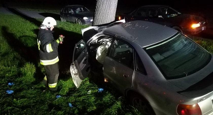 Audi uderzyło w drzewo na drodze krajowej (zdjęcia)