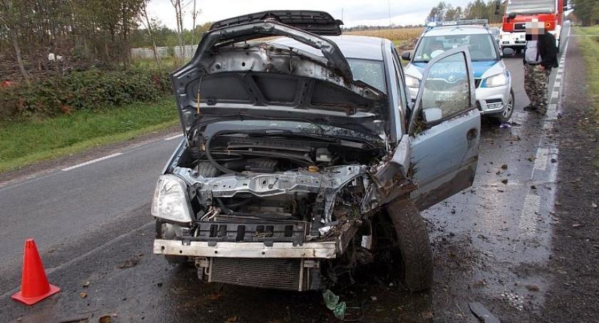 Opel uderzył w drzewo pod Ojrzeniem (zdjęcia)