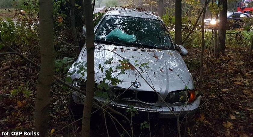 BMW przejechało przez skrzyżowanie i zatrzymało się w lesie. Dwie osoby w szpitalu (zdjęcia)