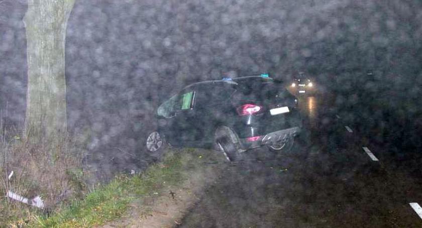 Ford uderzył w drzewo. Jedna osoba ranna