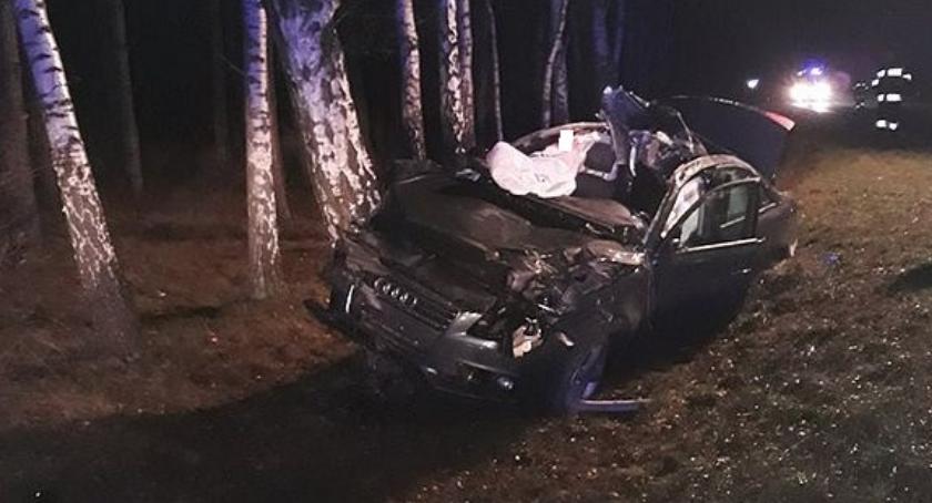 Audi uderzyło w łosia. Dwóch braci rannych 